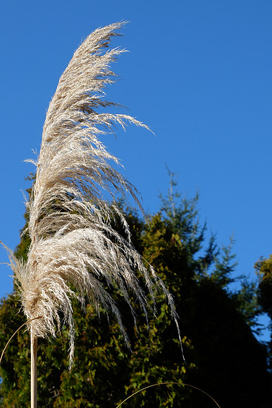 X20-96-2_ISO 100_1-600 sec at f - 5.6_ at 21.9 mm