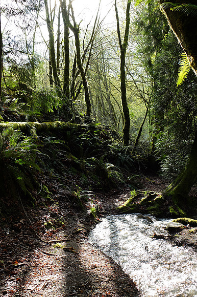 X20-61_ISO 100_1-300 sec at f - 3.2_ at 9.6 mm
