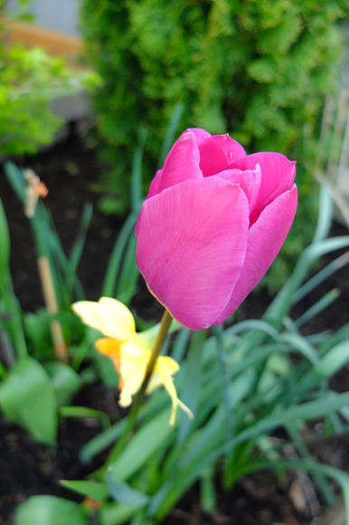 X20 Zoo-102_ISO 500_1-60 sec at f - 2.0_ at 7.1 mm