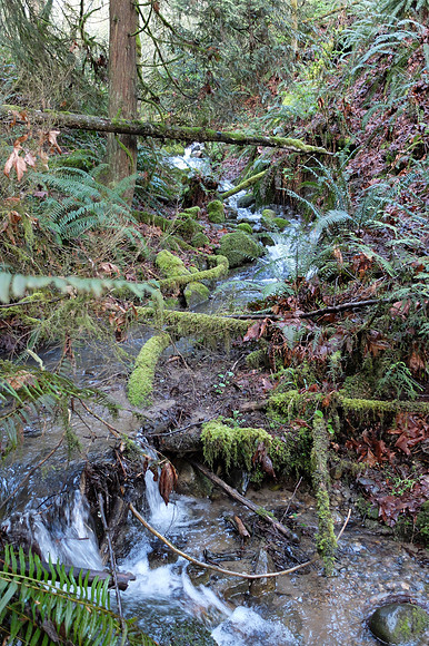X20-109_ISO 400_1-60 sec at f - 2.2_ at 8.6 mm