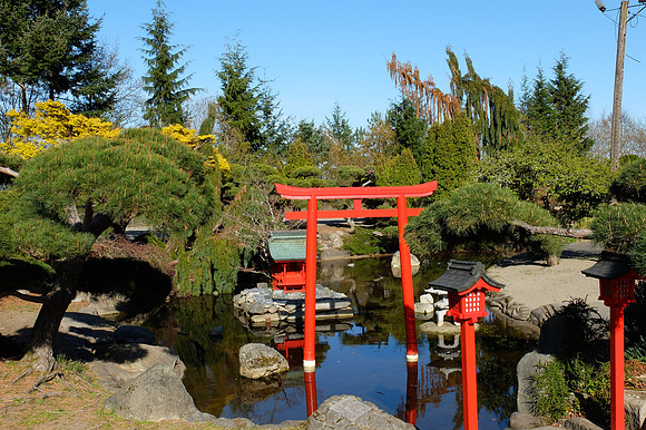 X20-114-2_ISO 100_1-450 sec at f - 5.6_ at 10 mm