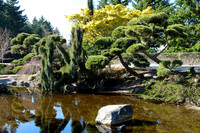 X20-97-2_ISO 100_1-280 sec at f - 3.6_ at 12.2 mm