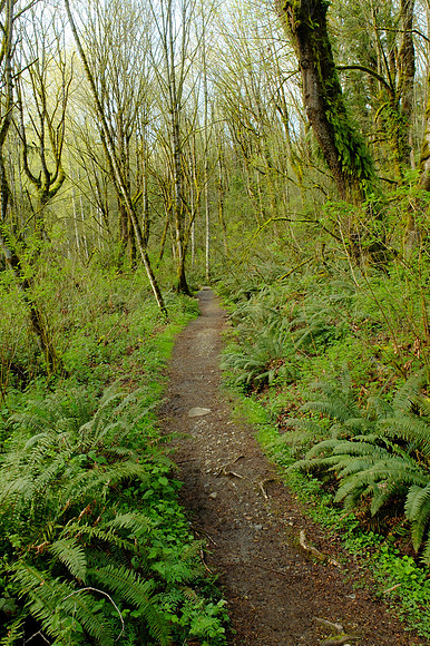 X20-182_ISO 320_1-60 sec at f - 5.6_ at 7.6 mm