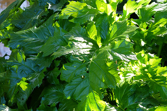 X20-131_ISO 100_1-90 sec at f - 2.8_ at 28.4 mm