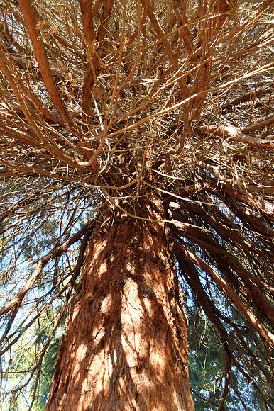 X20-116_ISO 200_1-210 sec at f - 2.0_ at 7.1 mm