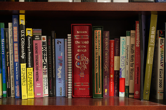 RX100iiiBookshelf-8_ISO 125 (NR Off)_20.0 sec at f - 8.0_8.8-25.7 mm f-1.8-2.8 at 25.7 mm