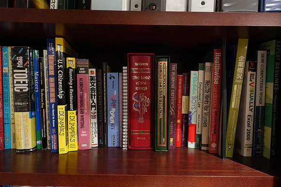 RX100iiiBookshelf-19_ISO 125 (NR Off)_20.0 sec at f - 8.0_8.8-25.7 mm f-1.8-2.8 at 8.8 mm
