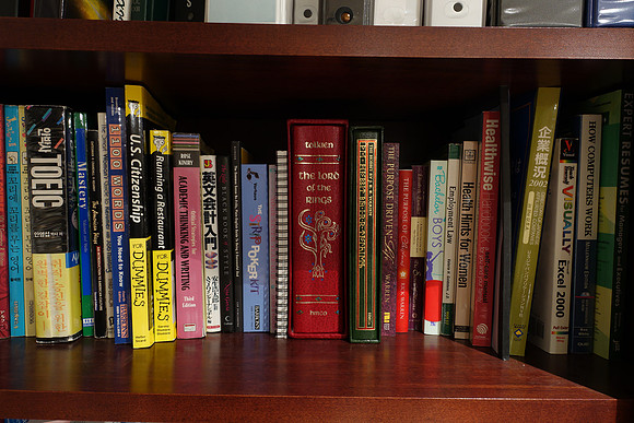 RX100iiiBookshelf-18_ISO 125 (NR Off)_10.0 sec at f - 5.6_8.8-25.7 mm f-1.8-2.8 at 8.8 mm