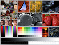 Pro2000 Pro Luster001
