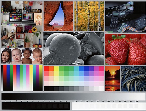 Pro2000 Pro Luster001