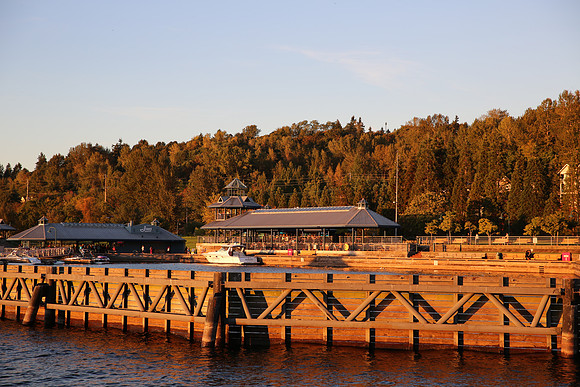 Coulon Park 24-70 II-9_ISO 100_1-200 sec at f - 4.5_EF24-70mm f-2.8L II USM at 70 mm