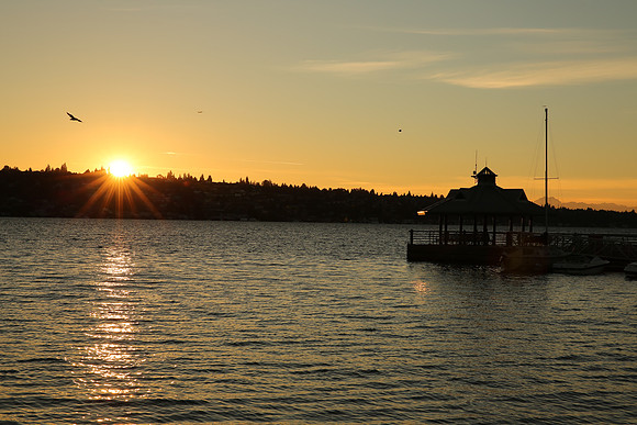 Coulon Park 24-70 II-45_ISO 100_1-200 sec at f - 11_EF24-70mm f-2.8L II USM at 70 mm