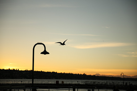 Coulon Park 24-70 II-91_ISO 100_1-1000 sec at f - 2.8_EF24-70mm f-2.8L II USM at 70 mm