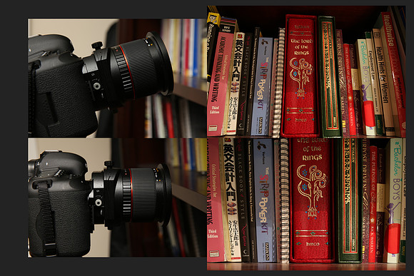 RokinonTS24mm_Correction