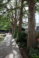 San Antonio-491_ISO 640_1-200 sec at f - 8.0_EF16-35mm f-4L IS USM at 26 mm