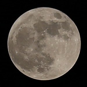 Crop-305_ISO 100_1-320 sec at f - 5.6_165 mm