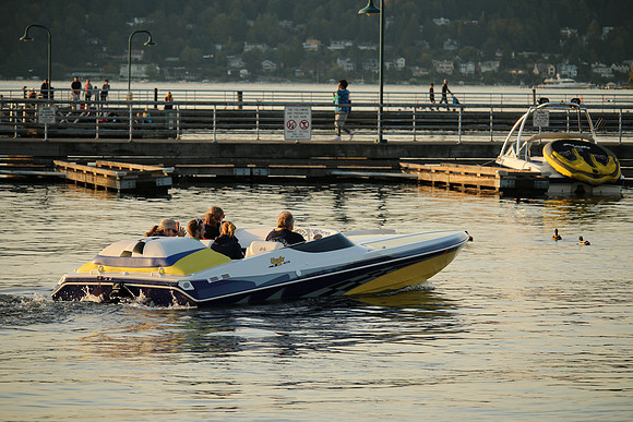 70D-145_ISO 100_1-200 sec at f - 5.0_EF-S55-250mm f-4-5.6 IS STM at 135 mm