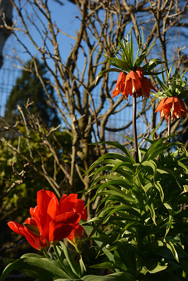 untitled-696_ISO 100_1-320 sec at f - 5.6_24.0-70.0 mm f-2.8 at 50 mm
