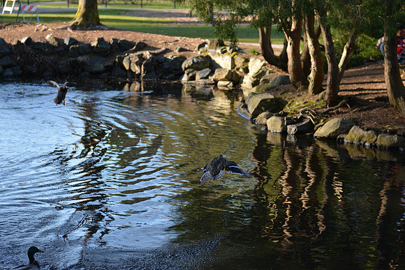 untitled-628_ISO 560_1-2000 sec at f - 2.8_24.0-70.0 mm f-2.8 at 62 mm