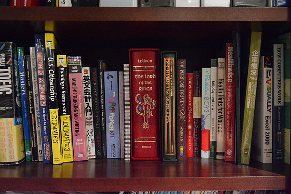 D7100 Bookshelf-18_ISO 12800_1-80 sec at f - 2.8_24.0-70.0 mm f-2.8 at 26 mm