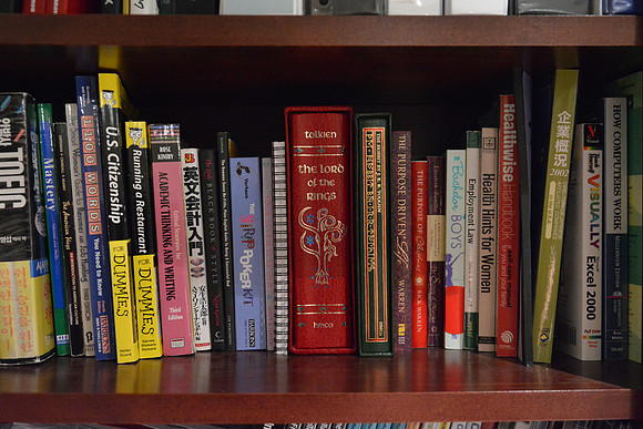 D7100 Bookshelf-16_ISO 6400_1-40 sec at f - 2.8_24.0-70.0 mm f-2.8 at 26 mm