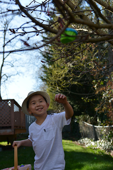 D7100 Easter-50_ISO 100_1-800 sec at f - 2.8_24.0-70.0 mm f-2.8 at 27 mm