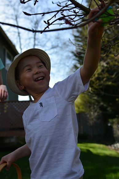 D7100 Easter-52_ISO 100_1-1250 sec at f - 2.8_24.0-70.0 mm f-2.8 at 27 mm