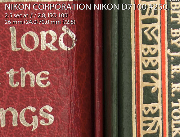 D7100BookshelfRAWCrop