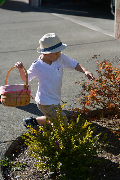 D7100 Easter-7_ISO 100_1-1250 sec at f - 2.8_24.0-70.0 mm f-2.8 at 70 mm