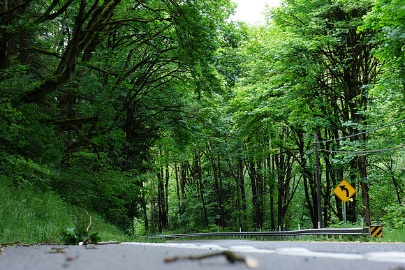 Sony NEX-7 Test-202_ISO 200_82 mm_1.3 sec at f - 7.1_-1EV