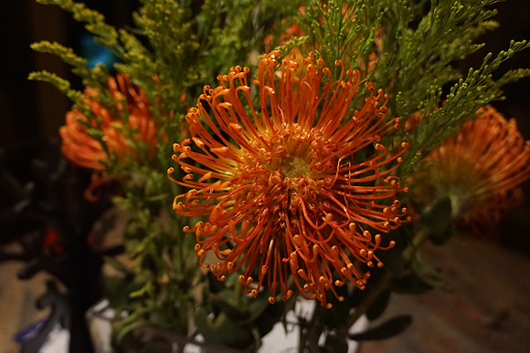Sony NEX-7-24_ISO 5000_27 mm_1-250 sec at f - 4.0_-1EV