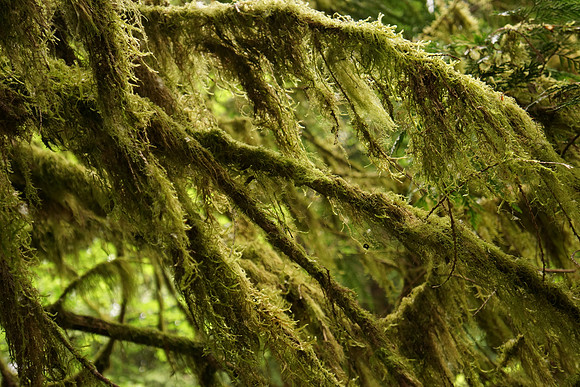Sony NEX-7-118_ISO 500_52 mm_1-60 sec at f - 4.5_-1EV