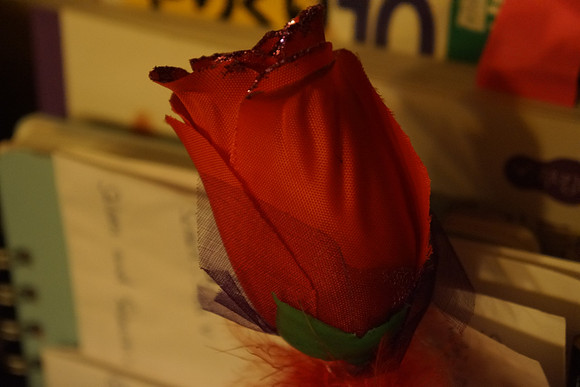 Sony NEX-7-31_ISO 6400_82 mm_1-25 sec at f - 5.6_-1EV