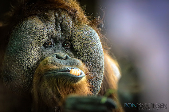 Zoo-597-Edit