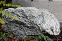 ISO 160