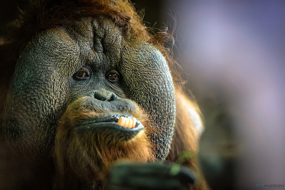 Zoo-597-Edit_Full