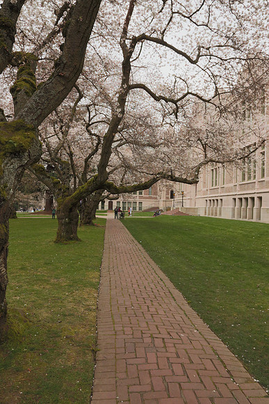 HDR Natural with a faster shutter speed