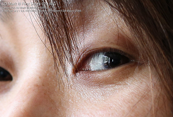 ISO 1600 100% crop (100mm macro lens v1)