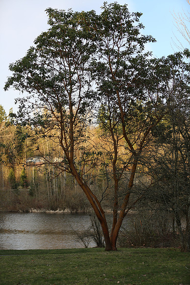 5DMark III Test-744 (Normal Exposure)