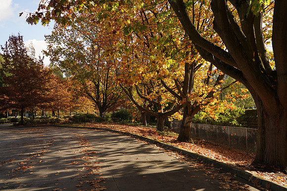 A7R2Fall-127_ISO 160_1-125 sec at f - 9.0_FE 24-70mm F4 ZA OSS at 32 mm
