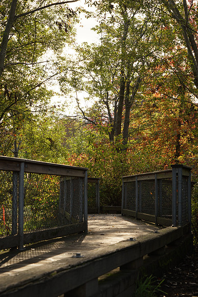 A7R2Fall-105_ISO 320_1-160 sec at f - 9.0_FE 24-70mm F4 ZA OSS at 70 mm