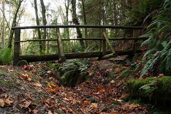 a7R2Trail-59_ISO 100_2.0 sec at f - 7.1_FE 24-70mm F4 ZA OSS at 32 mm