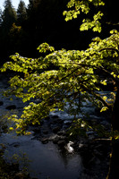 A7R2-16_ISO 100_1-250 sec at f - 5.6_FE 24-70mm F4 ZA OSS at 31 mm