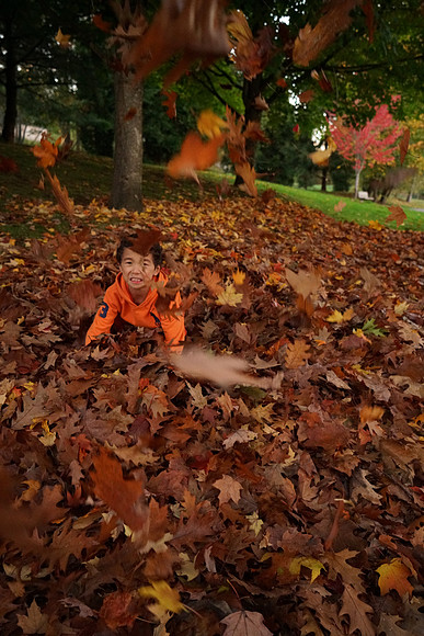 a7R2Fall-461_ISO 12800_1-200 sec at f - 4.0_FE 24-70mm F4 ZA OSS at 27 mm