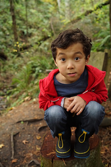 a7R2Trail-6_ISO 8000_1-125 sec at f - 4.0_FE 24-70mm F4 ZA OSS at 31 mm