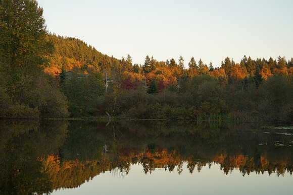 a7R2Fall-321_ISO 500_1-80 sec at f - 9.0_FE 24-70mm F4 ZA OSS at 54 mm