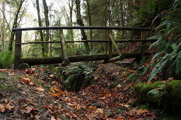 a7R2Trail-61_ISO 100_1.3 sec at f - 5.6_FE 24-70mm F4 ZA OSS at 32 mm