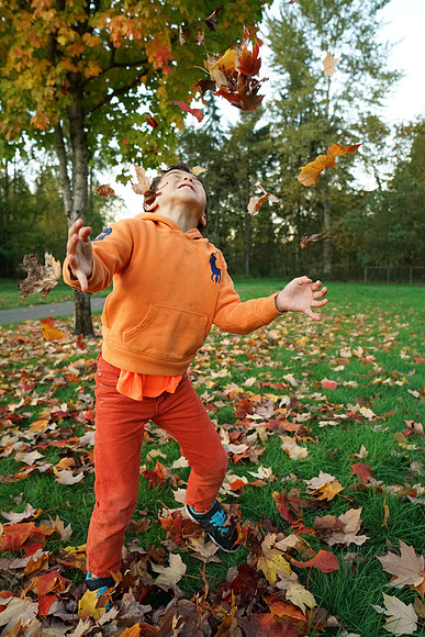 a7R2Fall-199_ISO 4000_1-1000 sec at f - 4.0_FE 24-70mm F4 ZA OSS at 25 mm