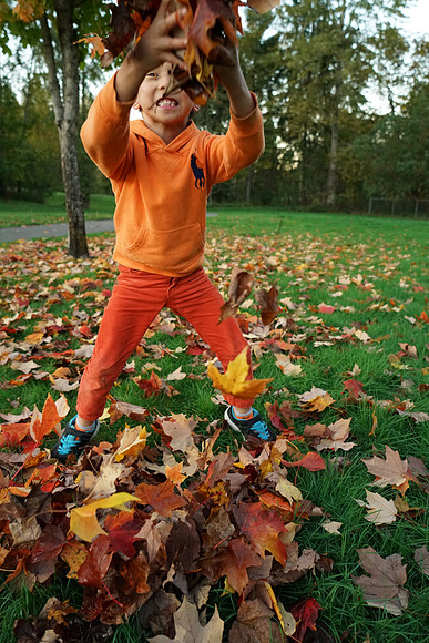 a7R2Fall-191_ISO 4000_1-1000 sec at f - 4.0_FE 24-70mm F4 ZA OSS at 25 mm