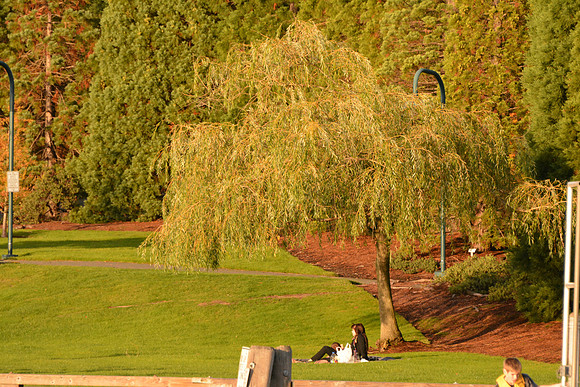 Nikon D5200-260_ISO 3200_1-2500 sec at f - 7.1_28.0-300.0 mm f-3.5-5.6 at 250 mm